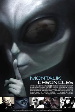 Montauk Chronicles movie poster