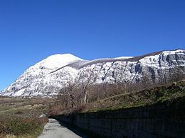 Monte Alpi httpsuploadwikimediaorgwikipediacommonsthu