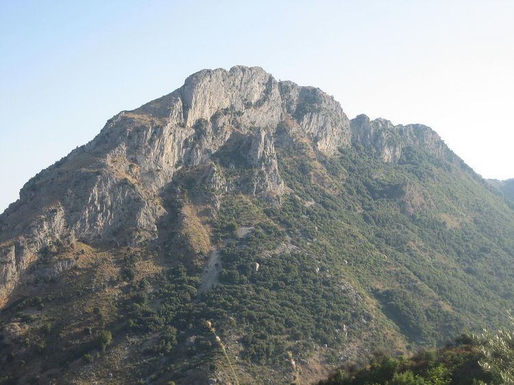 Monte Consolino httpsuploadwikimediaorgwikipediacommonsthu