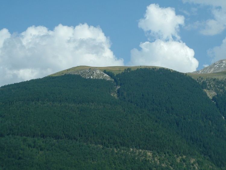 Monte Cornaccione httpsuploadwikimediaorgwikipediacommons66