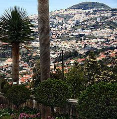 Monte (Funchal) httpsuploadwikimediaorgwikipediacommonsthu