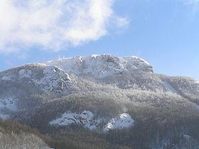 Monte Maggiorasca httpsuploadwikimediaorgwikipediacommonsthu