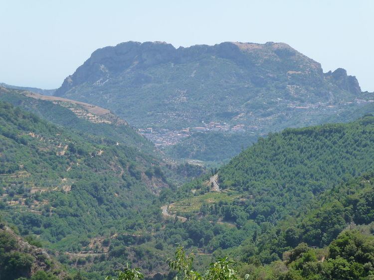 Monte Mammicomito