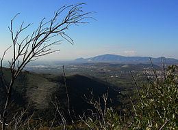 Monte Massico httpsuploadwikimediaorgwikipediaitthumbc