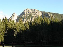 Monte Penna httpsuploadwikimediaorgwikipediacommonsthu