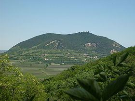 Monte Ricco httpsuploadwikimediaorgwikipediacommonsthu