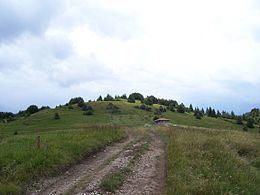 Monte Stino httpsuploadwikimediaorgwikipediacommonsthu