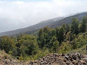 Monte Velha httpsuploadwikimediaorgwikipediacommonsthu