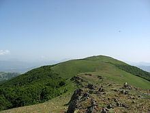 Monte Volturino httpsuploadwikimediaorgwikipediacommonsthu