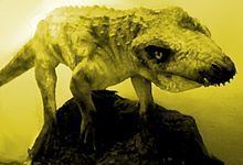 Montealtosuchus httpsuploadwikimediaorgwikipediacommonsthu