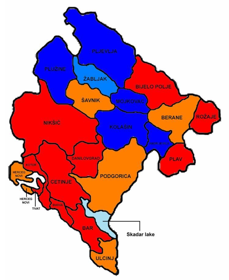 Montenegrin parliamentary election, 1998