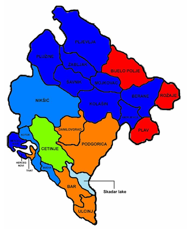 Montenegrin parliamentary election, 2001