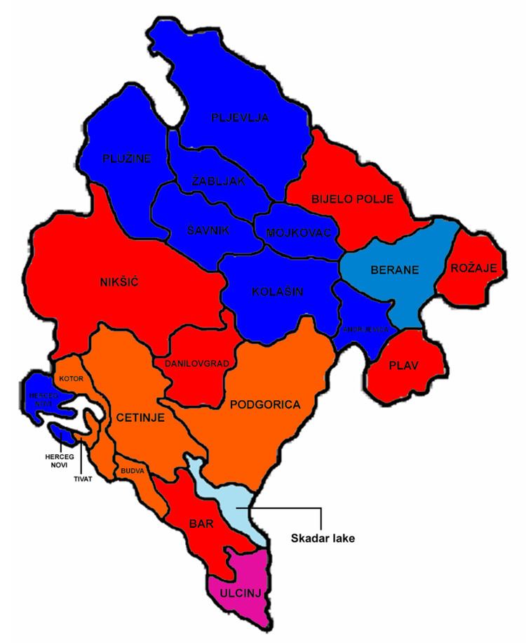 Montenegrin parliamentary election, 2002