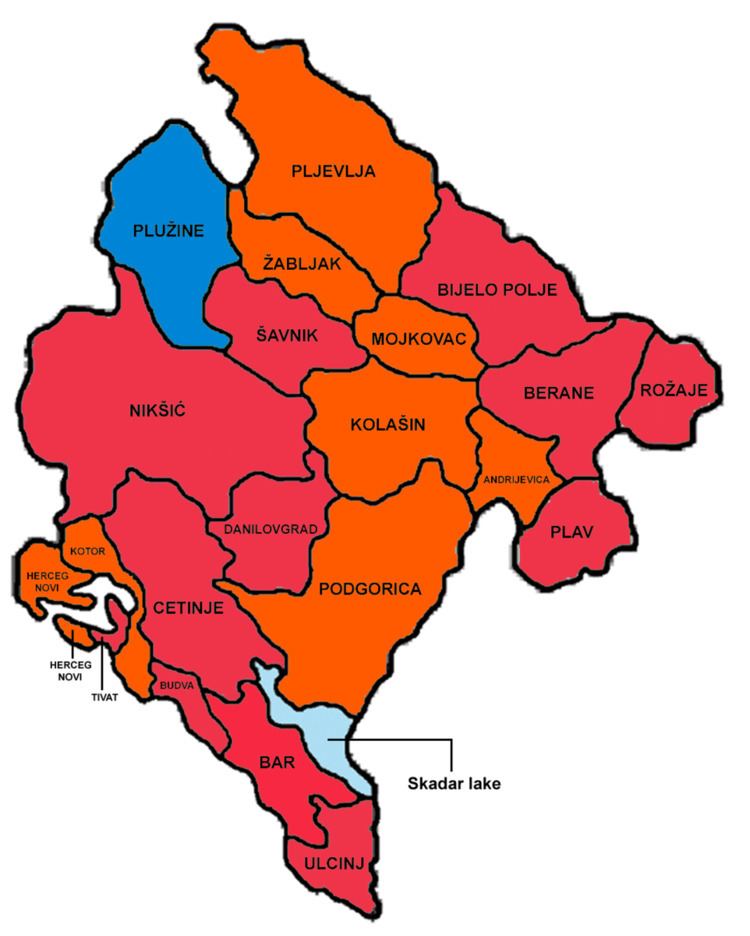 Montenegrin presidential election, 2008