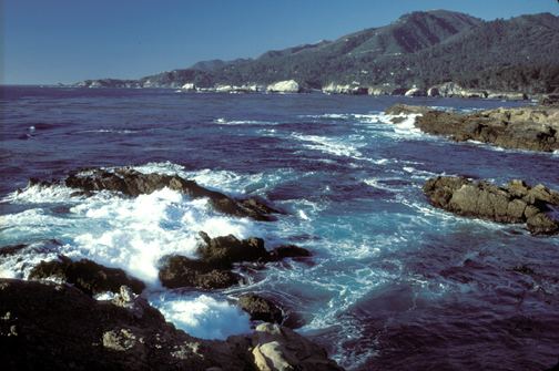 Monterey Bay National Marine Sanctuary httpswwwfosswebcomdelegatessifossucmCont