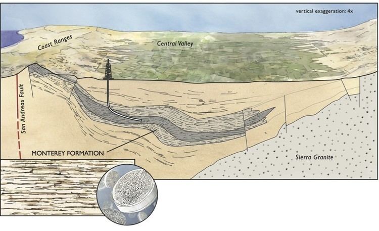 Monterey Formation Monterey Shale geology is relatively young and seismically active