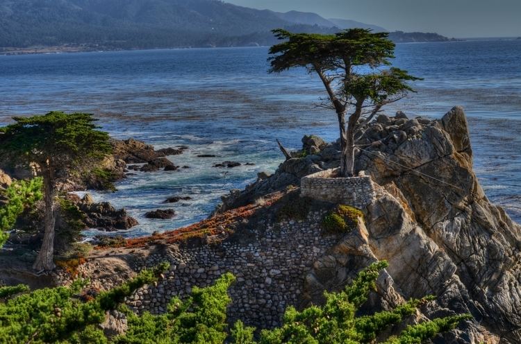 Monterey Peninsula Monterey Peninsula thenormaleye