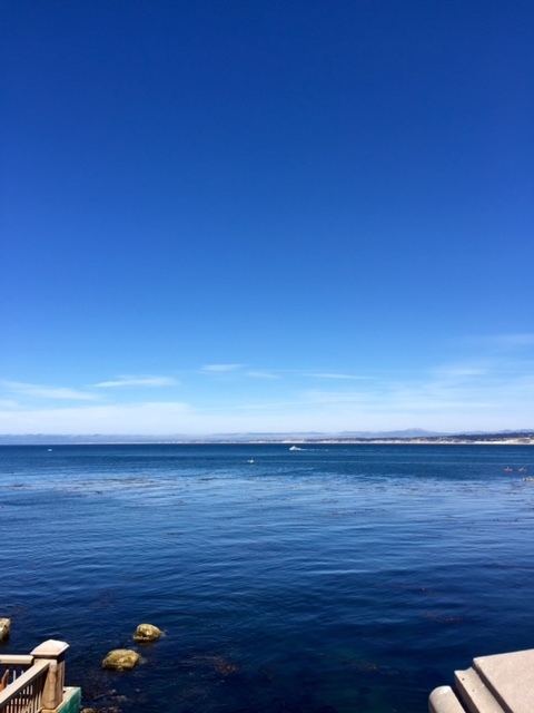 Monterey Peninsula Water Project