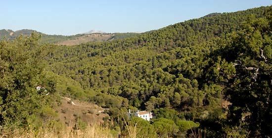 Montes de Málaga Parque Natural Montes de Malaga la axarquia en Waste magazine