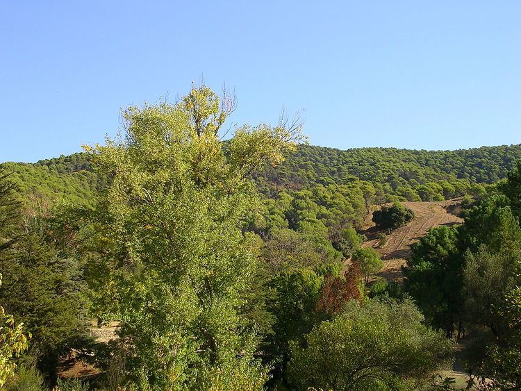 Montes de Málaga Natural Park