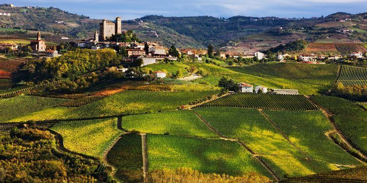 Montferrat Gourmet tours in Piedmont Italy transfers Monferrato Langhe