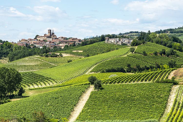 Montferrat Piedmont Monferrato LangheRoero land Beccaria Vini