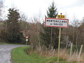 Montgaillard-de-Salies httpsuploadwikimediaorgwikipediacommonsthu