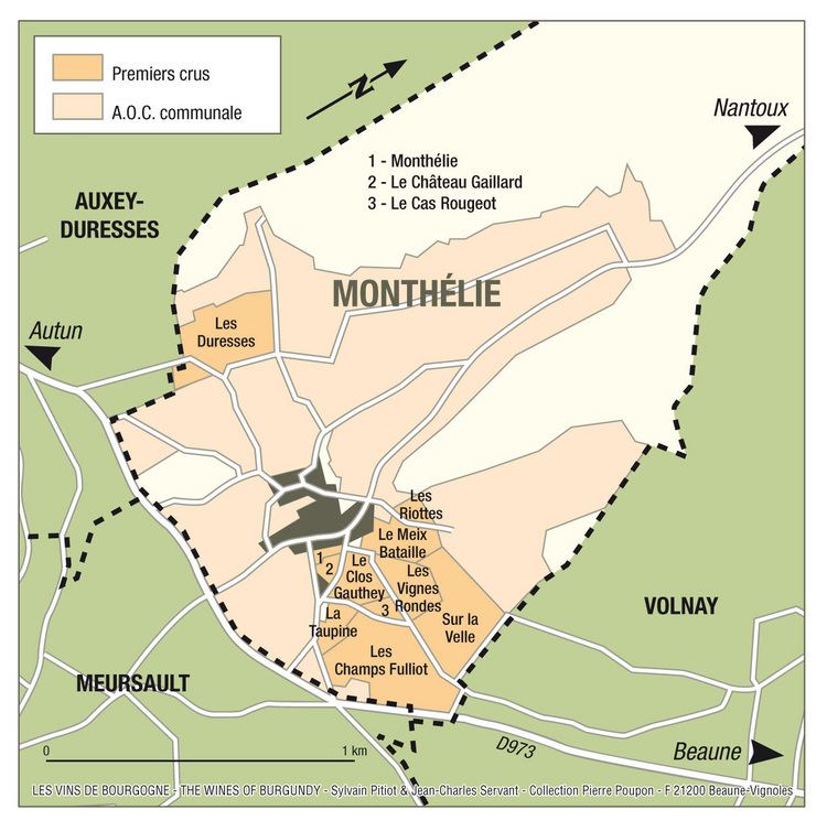 Monthélie wine 11598jpg