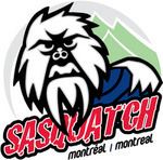 Montreal Sasquatch httpsuploadwikimediaorgwikipediaenthumbb