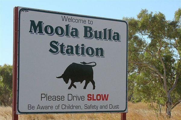 Moola Bulla Threatening to shoot An interview with Moola Bulla39s Nico Botha 26