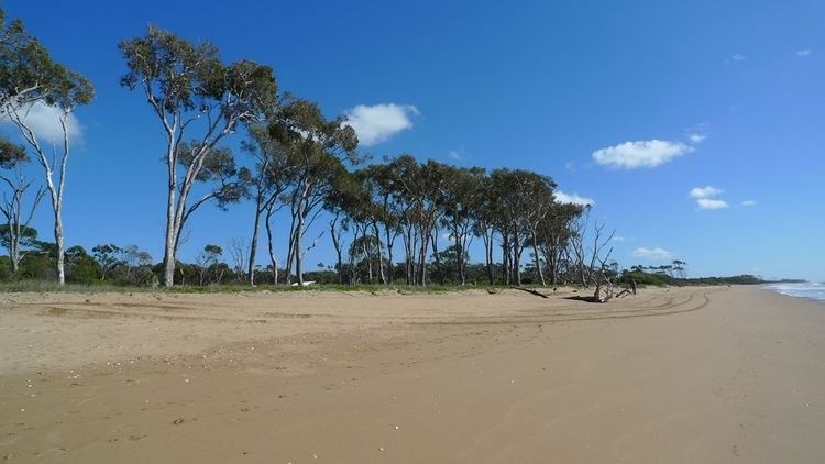 Moore Park Beach, Queensland httpsuploadwikimediaorgwikipediacommons88