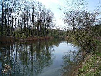 Moosach (river) httpsuploadwikimediaorgwikipediacommonsthu