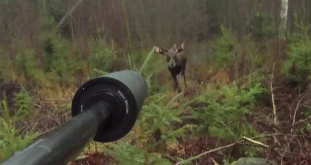 Moose Hunters movie scenes Crazy First Person Footage Captures Close Range Moose Kill Shot VIDEO 