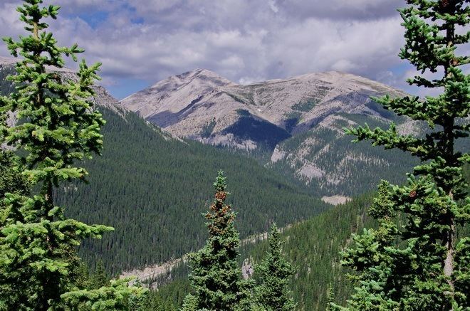 Moose Mountain (Alberta) The Moose Mountain Hike in Kananaskis Country Alberta