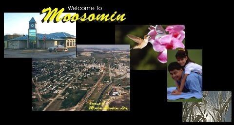 Moosomin, Saskatchewan wwwshopsaskatchewancomMoosominPicsmoosominpi