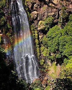 Morans Falls httpsuploadwikimediaorgwikipediacommonsthu