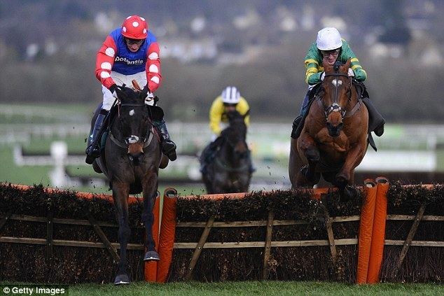 More Of That McCoy chooses At Fishers Cross over More Of That in World Hurdle