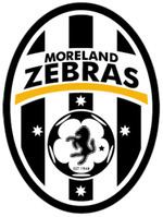 Moreland Zebras FC httpsuploadwikimediaorgwikipediaenthumb8