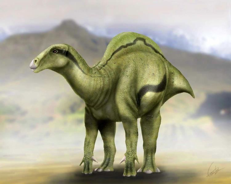Morelladon Morelladon beltrani New SailBacked Dinosaur Species Discovered in