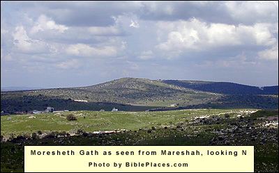 Moresheth-Gath Maresha Beit Guvrin NET
