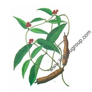 Morinda officinalis butea superbacnidiumWolfberry powder extractsmoking damiana