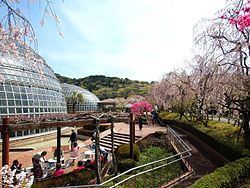 Moriyama-ku, Nagoya httpsuploadwikimediaorgwikipediacommonsthu