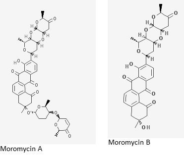 Moromycin