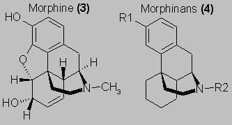 Morphinan A T Shulgin Drugs of Abuse in the Future wwwrhodiumws