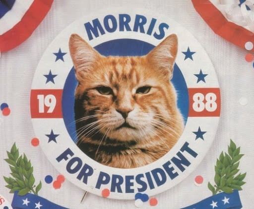 Morris the Cat Morris the Cat First Feline Presidential Candidate Love Meow