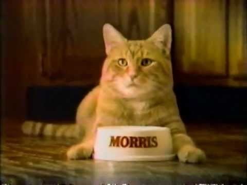 Morris the Cat 1984 9 Lives Cat Food Presents Morris Commercial YouTube