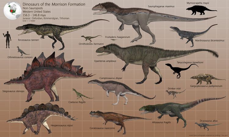 Morrison Formation Dinosaurs of the Morrison Formation by PaleoGuy on DeviantArt