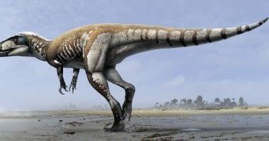 Morrosaurus The Dragon39s Tales A New quotMegaraptoridquot Theropod Found in Albian