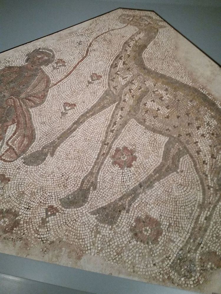 Mosaic Fragment with Man Leading a Giraffe