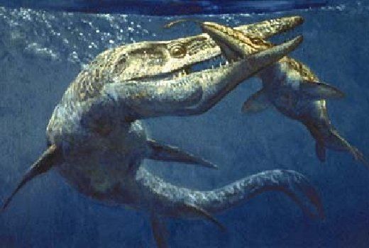 Mosasaur Just About Mosasaurs